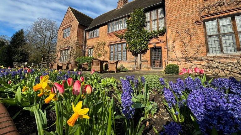 Daffodils, tulips and hyacinths blooming on the terrace in front of Goddards house
